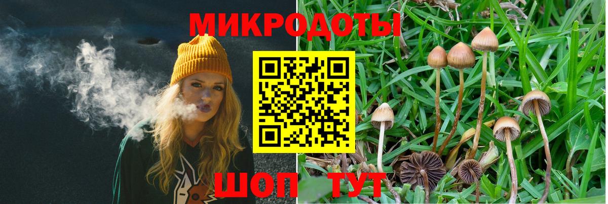 Галлюциногенные грибы MAGIC MUSHROOMS Ивантеевка