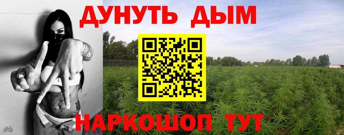 Бошки марихуана гибрид  МАРИХУАНА планчик  Бошки Шишки Bruce Banner  Каннабис THC 21%  Вход с VPN  Ивантеевка 